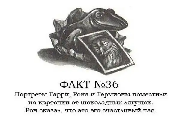ТОП-80 фактов о Гарри Поттере ТОП-80 фактов о Гарри Поттере