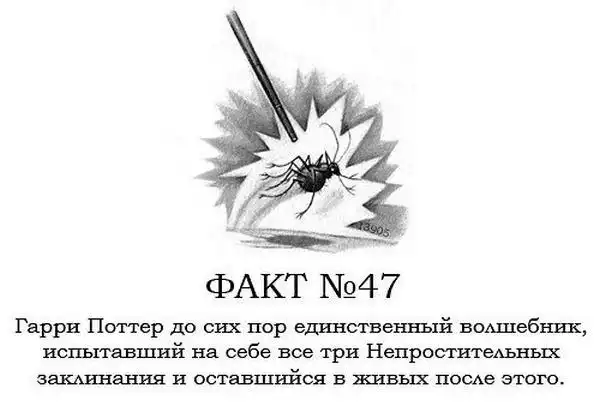 ТОП-80 фактов о Гарри Поттере ТОП-80 фактов о Гарри Поттере