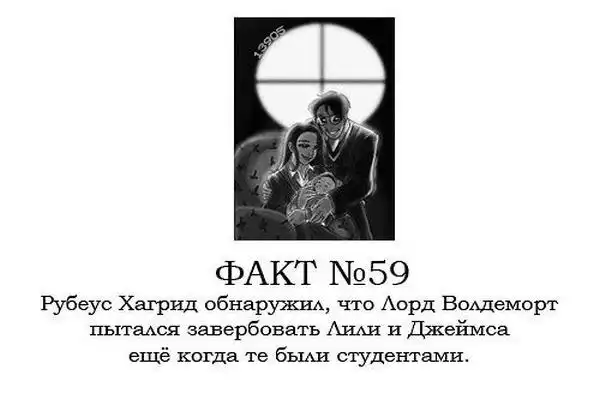 ТОП-80 фактов о Гарри Поттере ТОП-80 фактов о Гарри Поттере