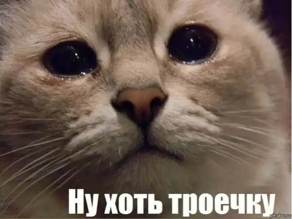 Картинко-комикс-микс.