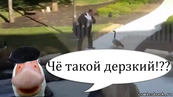 Подборка комиксов (№ 9) Подборка комиксов (№ 9)