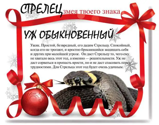 Какой змеей будешь ты в 2013 году Какой змеей будешь ты в 2013 году
