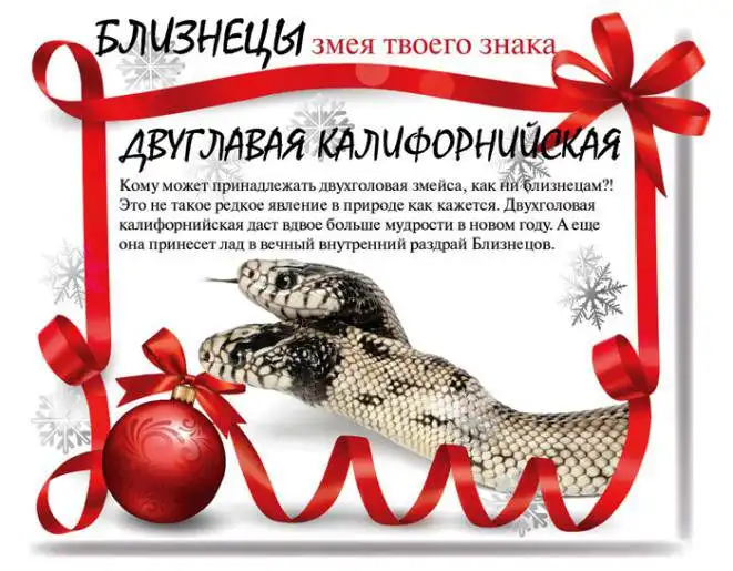 Какой змеей будешь ты в 2013 году Какой змеей будешь ты в 2013 году
