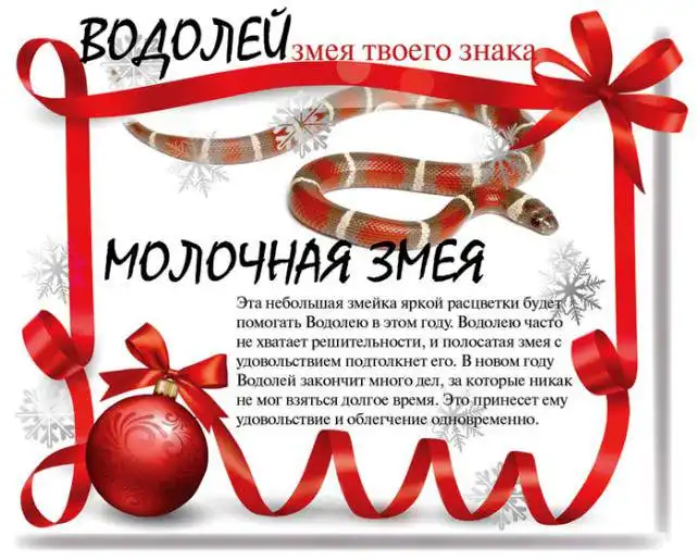Какой змеей будешь ты в 2013 году Какой змеей будешь ты в 2013 году