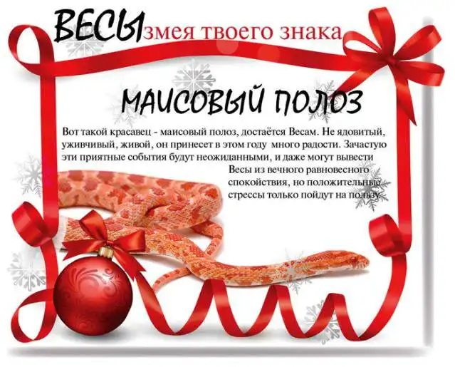 Какой змеей будешь ты в 2013 году Какой змеей будешь ты в 2013 году