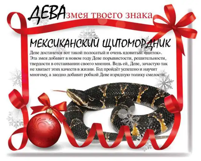 Какой змеей будешь ты в 2013 году Какой змеей будешь ты в 2013 году