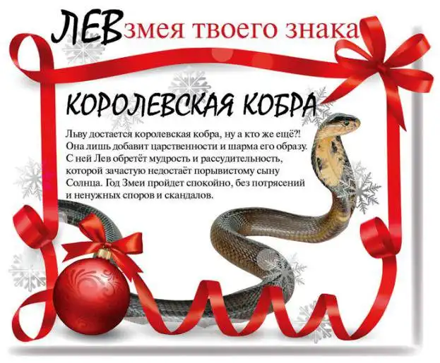Какой змеей будешь ты в 2013 году Какой змеей будешь ты в 2013 году