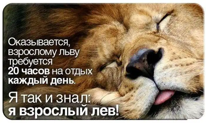 Прикольные картинки абавсём (03.12.12) Прикольные картинки абавсём (03.12.12)