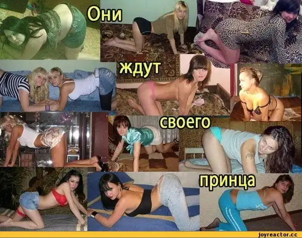 О девушках с заниженной планкой социальной ответственности (18+) О девушках с заниженной планкой социальной ответственности (18+)
