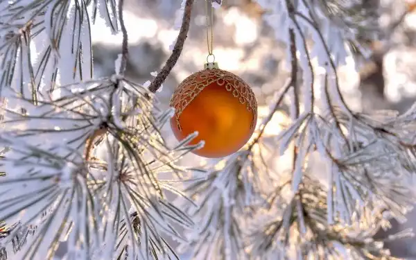 Обои на рабочий стол.30.12.2012.