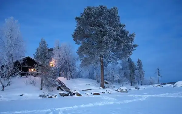 Обои на рабочий стол.30.12.2012.