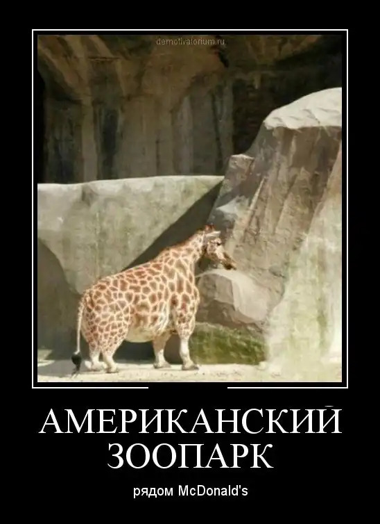 Картинки в черной рамке Картинки в черной рамке