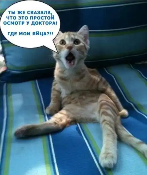 Разнообразная подборка =)