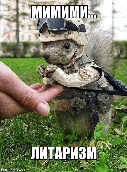 Разнообразная подборка =)