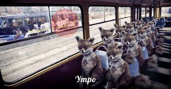 Разнообразная подборка =) Разнообразная подборка =)