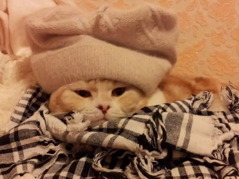 Разнообразная подборка =)