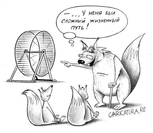 карикатуры