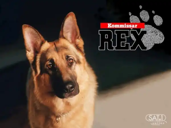 Вспоминаем старые сериалы - Комиссар рекс.