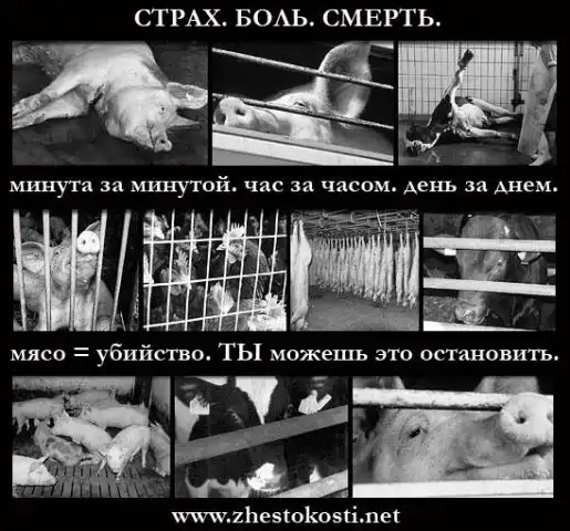 Агитация против меха и мяса