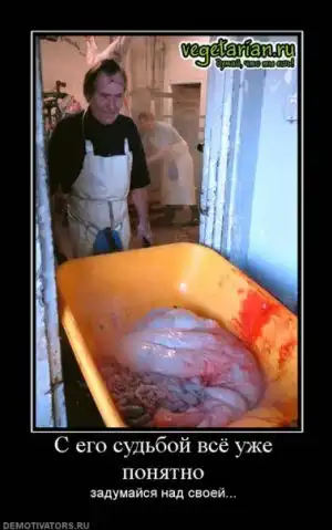 Агитация против меха и мяса