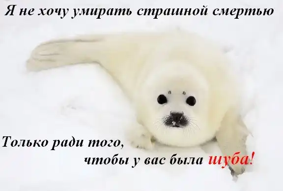 Агитация против меха и мяса