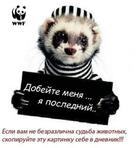 Агитация против меха и мяса