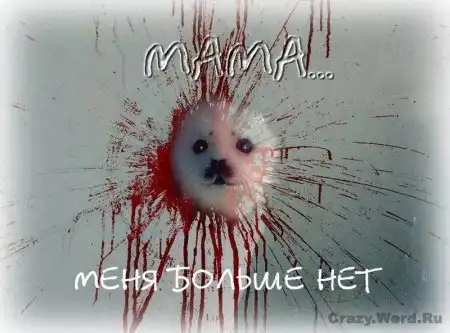 Агитация против меха и мяса