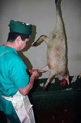 Агитация против меха и мяса