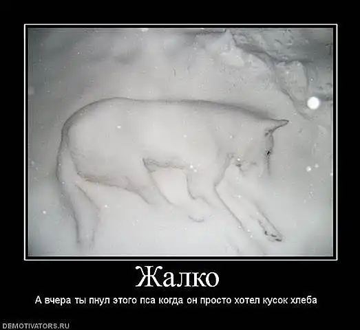 Агитация против меха и мяса