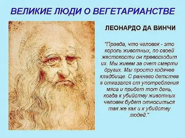 Агитация против меха и мяса