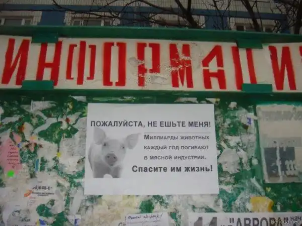 Агитация против меха и мяса