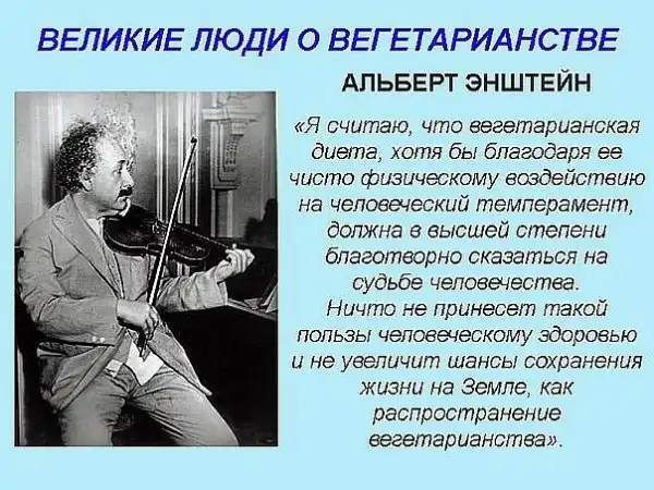 Агитация против меха и мяса