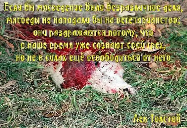 Агитация против меха и мяса