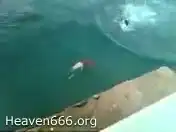 Неудачный прыжок в воду...