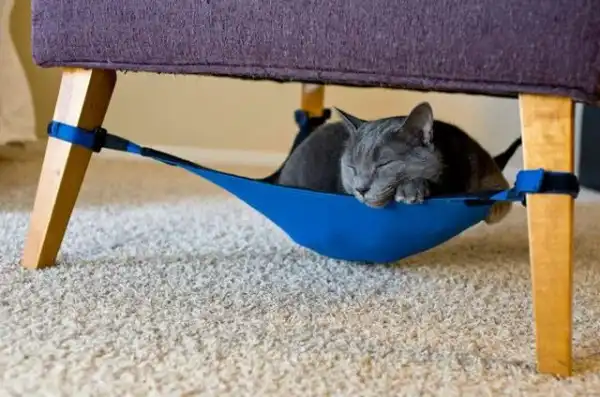 Идеальная кровать для кота, которая экономит немало места