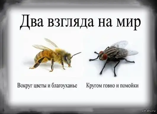 Подборка разных приколов