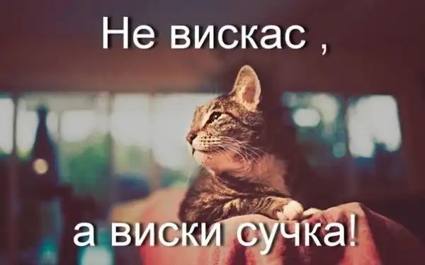 Подборка разных приколов