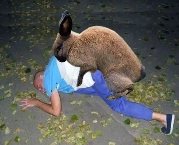 Вызов принят! Вызов принят!