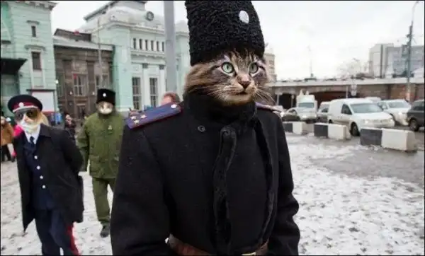 Ассорти картинок