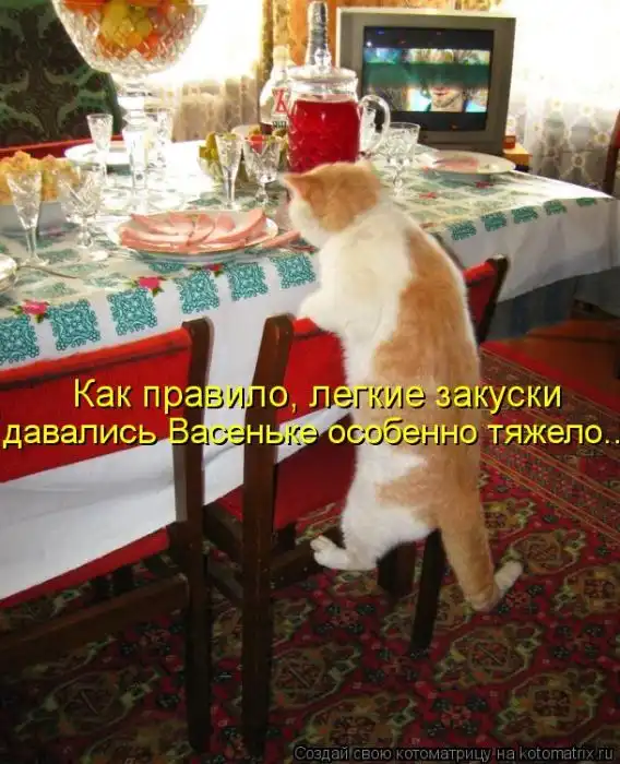 Лучшие котоматрицы недели Лучшие котоматрицы недели
