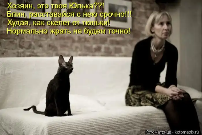Лучшие котоматрицы недели Лучшие котоматрицы недели