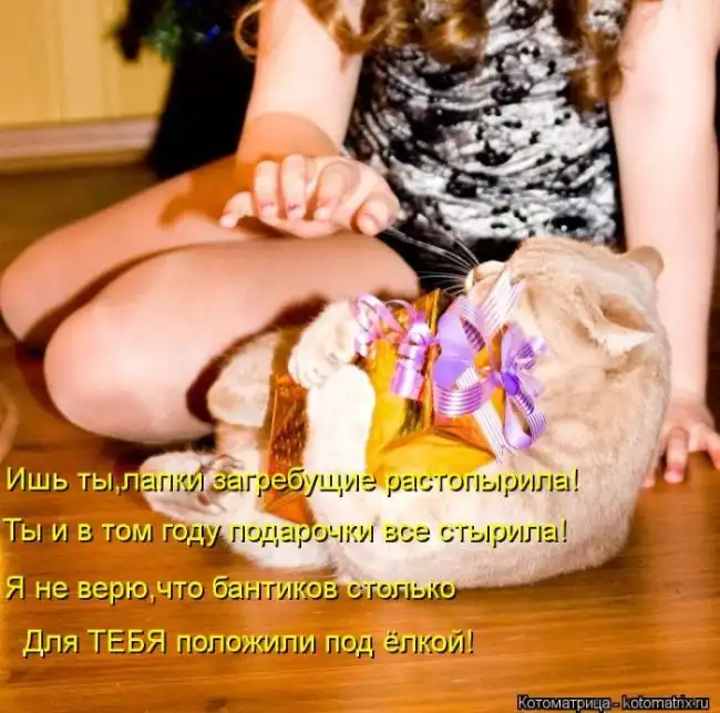Лучшие котоматрицы недели Лучшие котоматрицы недели
