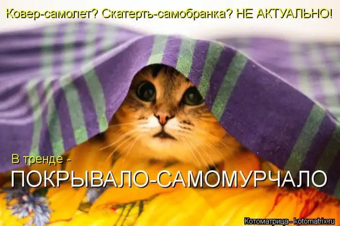 Лучшие котоматрицы недели Лучшие котоматрицы недели