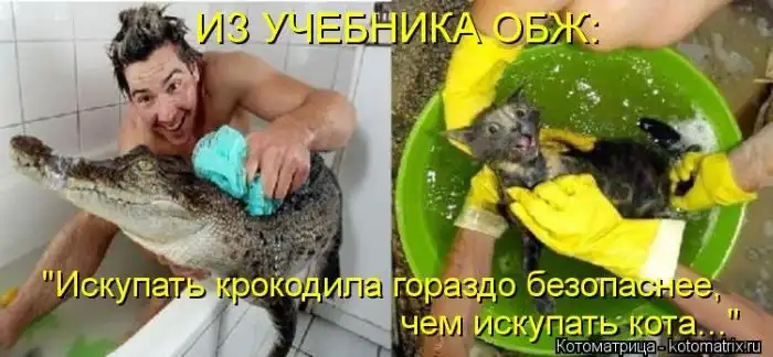 Лучшие котоматрицы недели Лучшие котоматрицы недели