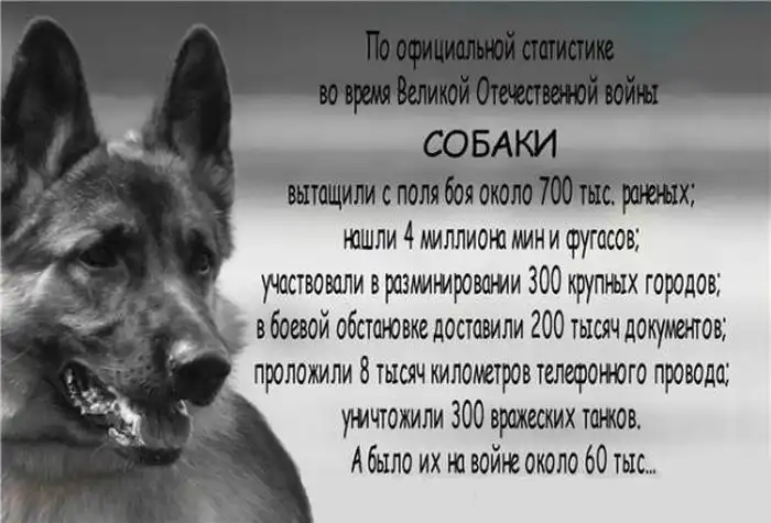Прикольные картинки абавсём (21.01.13) Прикольные картинки абавсём (21.01.13)