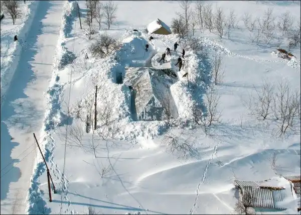 Ассорти картинок