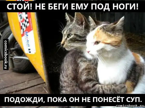Подборка комиксов (№ 15) Подборка комиксов (№ 15)