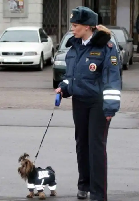 Прикольные полицейские снимки Прикольные полицейские снимки