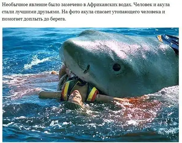Разнообразная подборка =) На день!