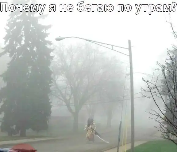 Разнообразная подборка =) На день!